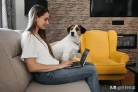 国外狗的趣闻，你听说过吗？图片