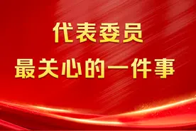 守护医保基金安全、保护企业合法权益……代表们关注这些事图片