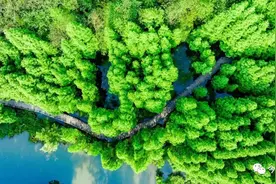 国庆去哪里？崇州“天府乡游”最全攻略请收好！图片