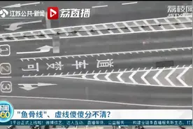 “鱼骨线”、虚线傻傻分不清？交警：能否变道看“鱼骨线”外侧那条线图片