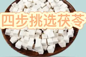 茯苓冷知识分享图片