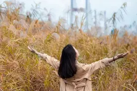 《摆渡人》最触动灵魂的6句话，读懂治愈一生！图片