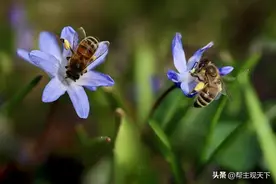 从《月亮与六便士》到《刀锋》，毛姆教我如何度过那些艰难的时刻图片