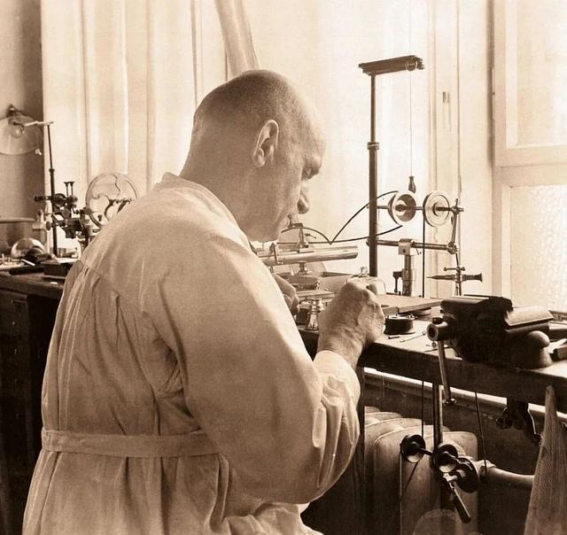 �������Ե��ӱ����