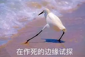 2021哪些游戏凉了？腾讯网易亿级游戏凉凉，游戏上线开服0秒停运图片