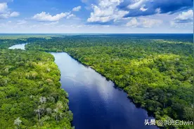 亚马逊雨林的绿水蚺，长可达10米，重达225公斤，鳄鱼也是其食物图片