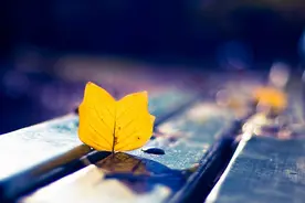 女人这样和你相处，说明她并不在乎你，就别犯傻了图片