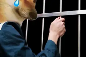 城管找上门，通知我狗子坐牢了图片