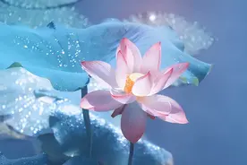十二星座与生俱来的职业天赋，射手适合当教师图片