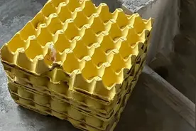 卖废品时，鸡蛋托盘一定要留下，作用特别厉害，花钱都买不来图片