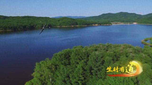 松花湖旅游攻略(松花湖船票多少钱一张)