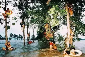 九八抗洪最悲壮的一场战斗图片