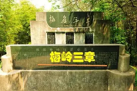九年级语文下册第二课《梅岭三章》课文笔记，自主预习的好帮手图片