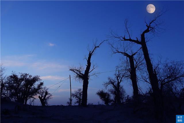南疆高原天堂，古丝绸之路的历史见证，神奇的大漠如梦幻一般