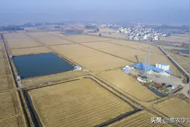 高标准农田建设一亩能补多少钱？哪些人可领？附：补贴的申请流程图片