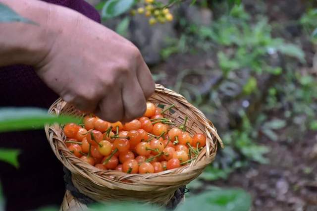 四川省民生研究会新媒体中心-官网