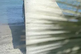 高质量壁纸 | 来去都是自由风 该相逢的人总会相逢图片