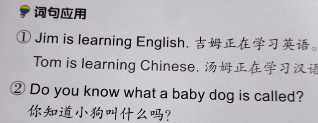 怎样轻松提升孩子的英语阅读理解能力？《one story a day 》来帮你