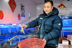 吃一只少一只，渤海湾对虾来青岛65块钱一只，错过了想买都难图片