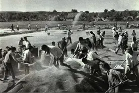 董小华：比较中印两国农业——谨以此文纪念毛主席逝世46周年图片