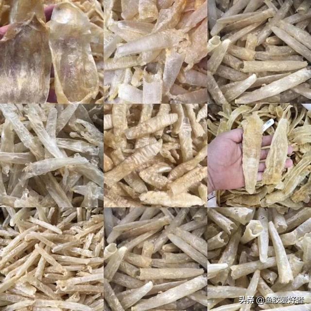 新西兰花胶是最差的 新西兰花胶的功效与作用