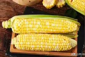 甜玉米、糯玉米热量竟差1倍？难怪肚腩越来越大图片