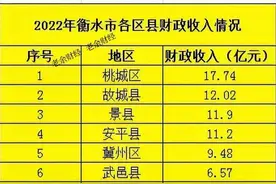 河北省衡水市财政收入创新高，桃城区位居巅峰！图片