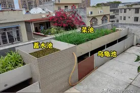 楼顶菜园：用结构粘瓷砖、水管做立体菜池的方法介绍，看你喜欢吗图片