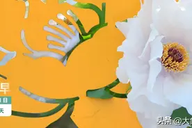 河南你早丨共招4505人！河南全省事业单位招聘联考来了；河南大风沙尘齐上线图片