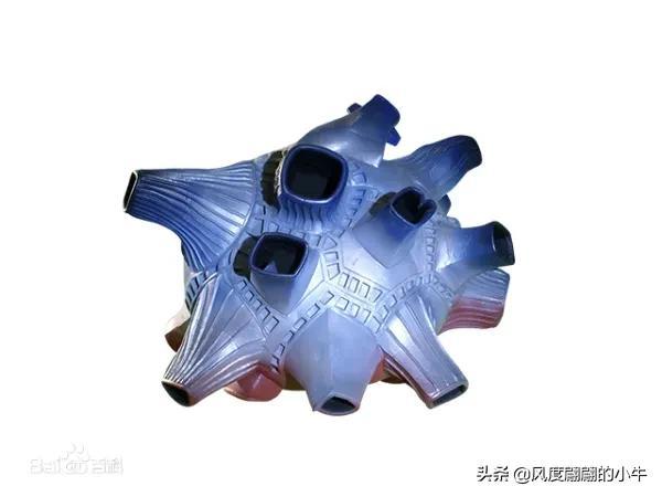 欧布奥特曼怪兽（正派）大全