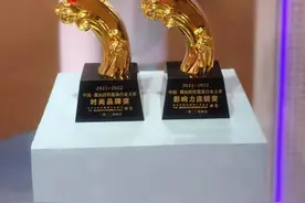 全国销量领先的专业内衣 都市丽人荣获潮汕纺织服装行业颁奖盛典多项大奖图片