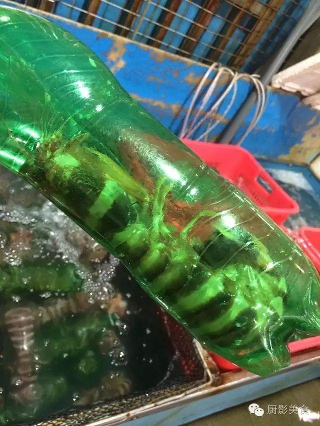 40头的花胶是几级 2025年花胶40头是什么意思?