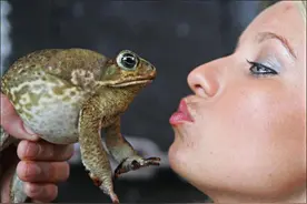 美国流行舔蛤蟆？沉迷蟾蜍毒液致幻，年轻人把本地蛤蟆舔到濒危图片