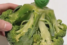 我妈净吐槽我买些“怪玩意”，当时觉得“嫌弃”，但用完真香了图片