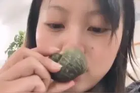 四川女子养1年的福寿螺失踪4个月后在沙发底下发现，丢进水里惊呆图片