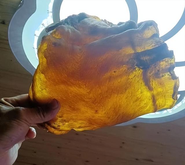 鱼 花胶 鱼花胶的功效和作用