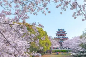 世间安得双全法，不负如来不负卿图片