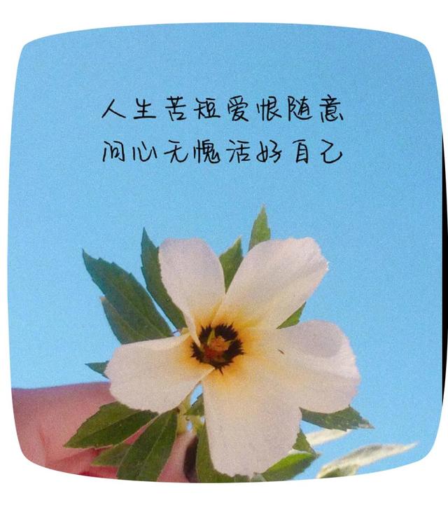 ���˶Ի���������Ȧ�ĸ����̻��⣬��Ƨ���˶�ϲ����