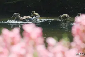 她非常渴望的爱情图片