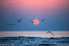 一个人没什么朋友，对亲情也很淡漠，多半是这4个原因图片