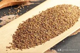 简单一味药，搭配泡水，上能养肝，中能健脾，下能补肾图片