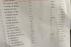 白细胞减少的原因和危害有哪些图片