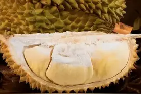 榴莲不能随便吃吗？医生：吃榴莲时，7个禁忌或需要注意图片