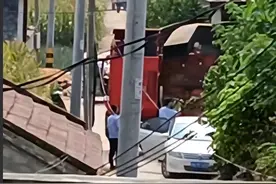 突发！河南发生惨剧：60岁农妇卷入收割机打成肉沫，司机竟不知！图片