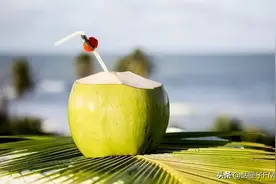 一口椰子水下肚，直接进ICU？预开口的椰子怎么就从美味成了毒药?图片