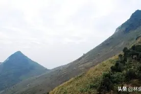 千万里我追寻着你，揭秘广西最大河流西江流域的山水风情图片