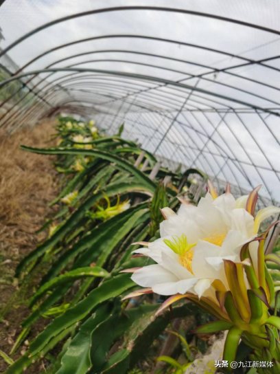 ��ɣ��������չ���������