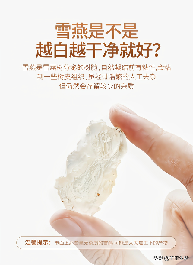 雪燕炖花胶有什麼功效 2026年雪燕炖花胶有什麼功效和禁忌