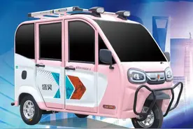 4款能上牌的电动三轮篷车，接娃买菜两不误，宝妈、老年人都适合图片