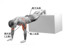 下斜俯卧撑：徒手练上胸肌、三角肌及三头肌，真的有效果！图片